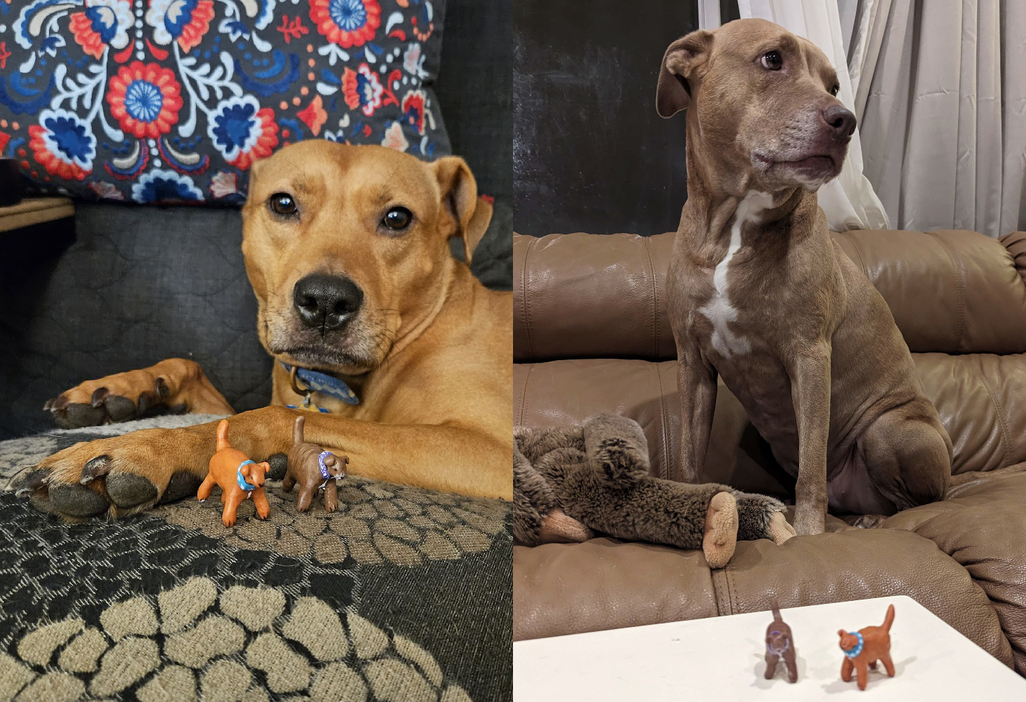 LEFT: Barley, a dog, poses with clay likenesses of herself and Juniper. RIGHT: Juniper, a dog, poses with clay likenesses of herself and Barley.