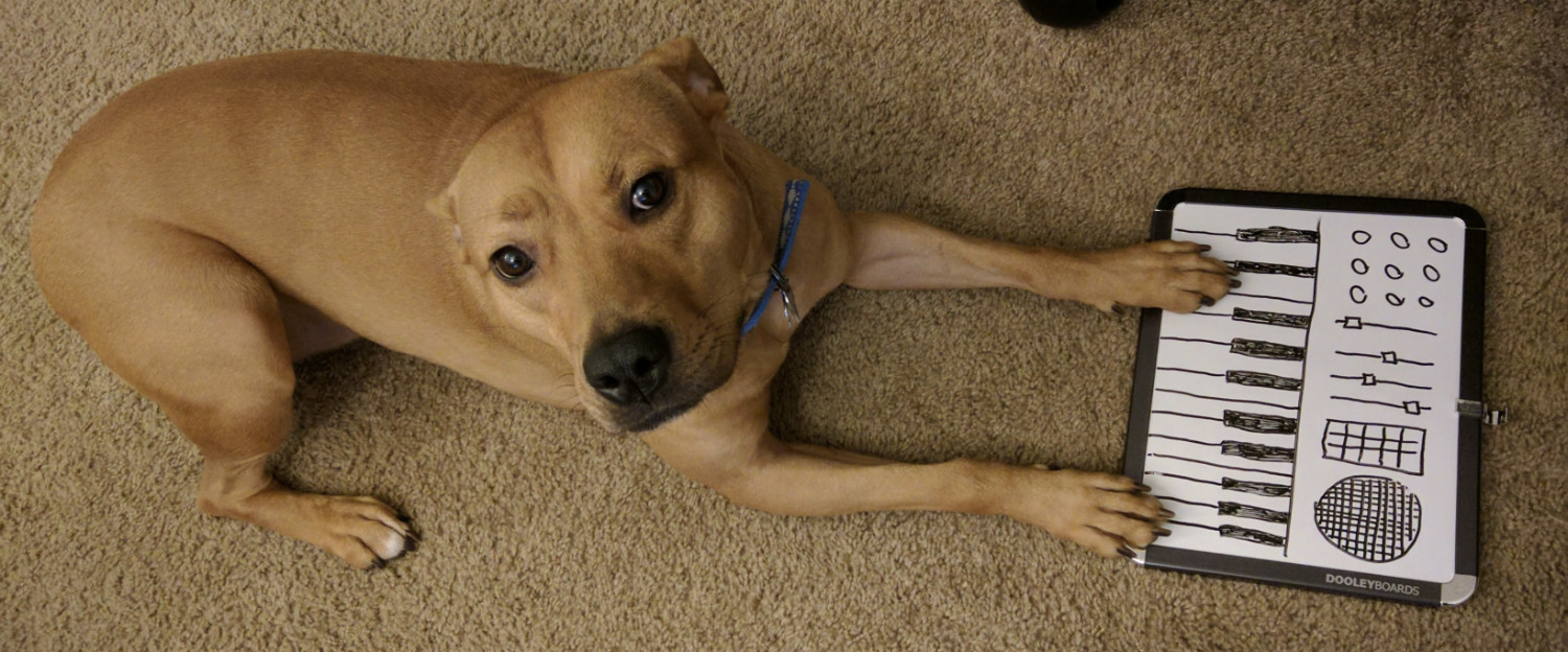 Barley, a dog, lays paws on the keys of a synth made entirely of whiteboard marker.