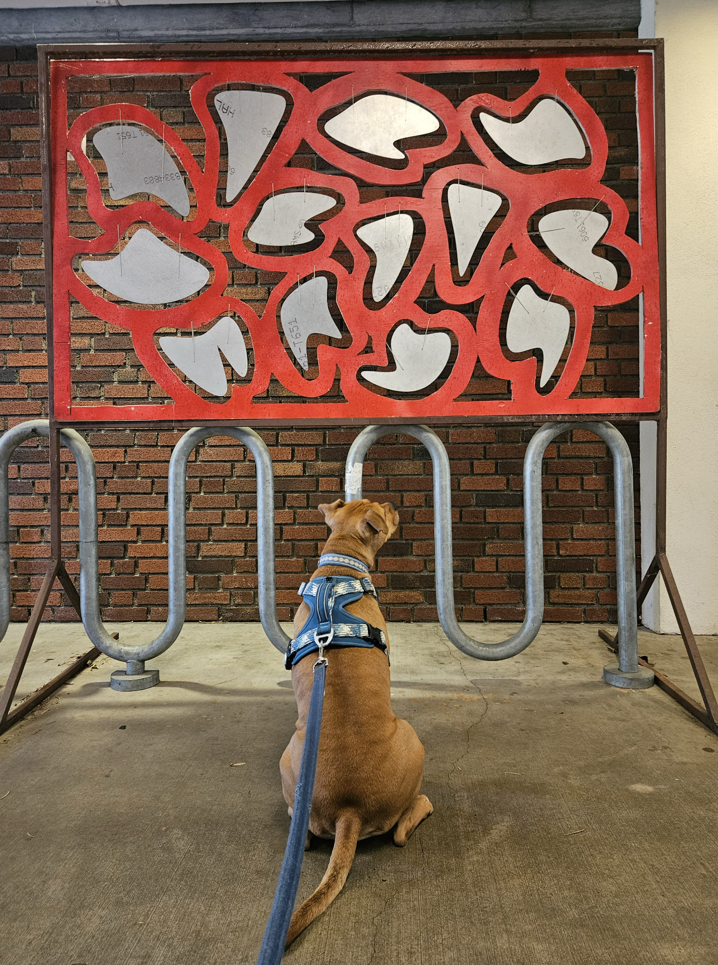 Barley, a dog, ponders a sonic sculpture consisting of sheet metal but into bulbous shapes that hang within a red framework.