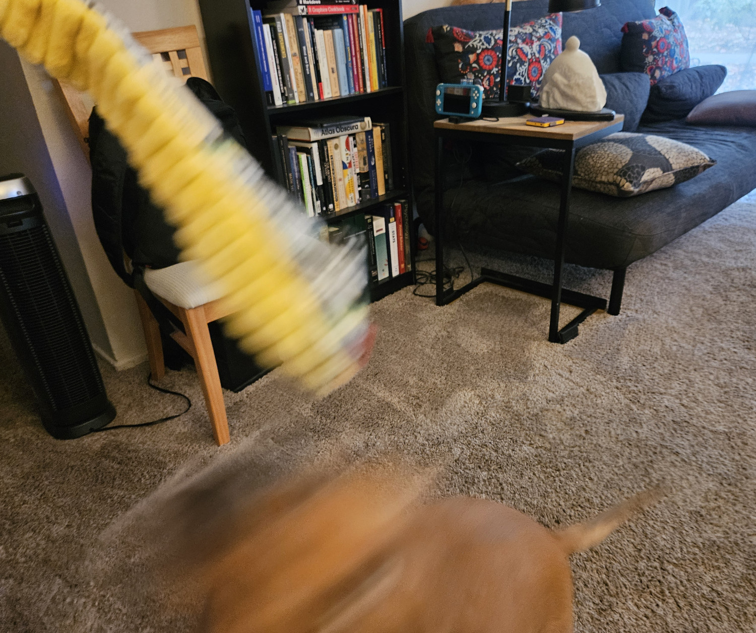 Barley attacks! She and the snake are now merely a blur.