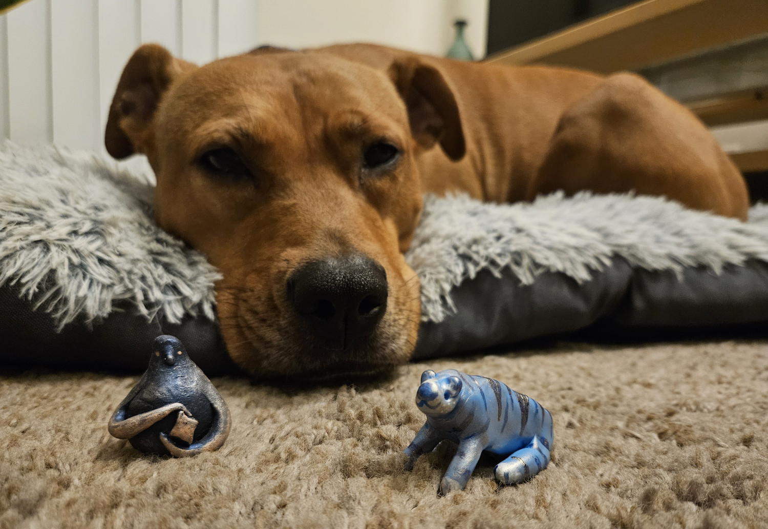 Barley, a dog, relaxes on her dog bed while viewed in extreme closeup. Beside her snoot are a tiny blue tigerbear and a equally tiny pear-shaped lightbringer.