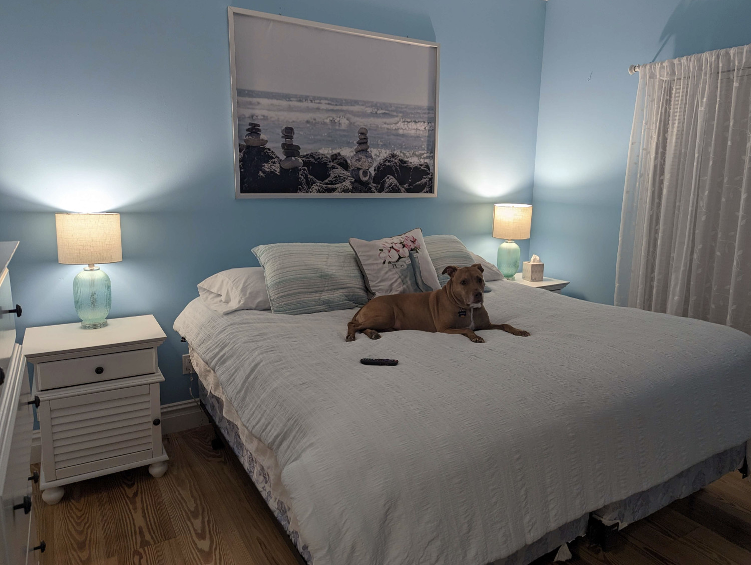 Juniper, a dog, lies atop, and sinks into, the very lofty comforter atop a queen-size bed in an AirBnB bedroom.