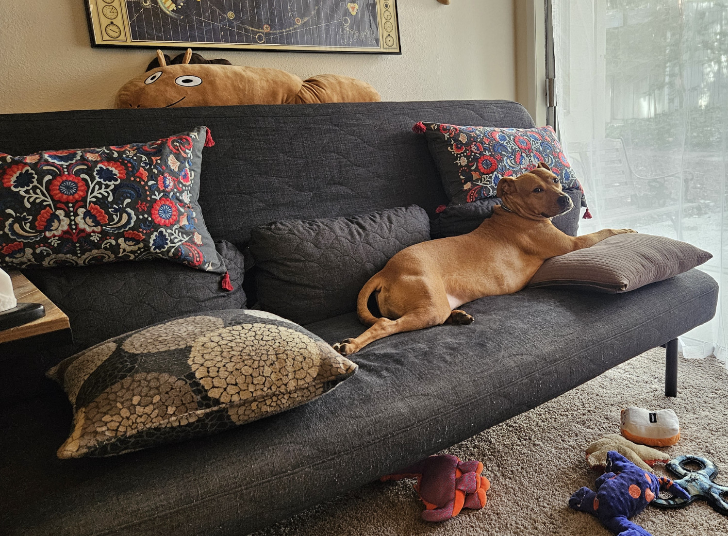 Barley, a dog, glances back over her shoulder as she sprawls long. Above her, atop the futon, Jacobhorse Drawfee also stretches with an unnatural length that can only have arisen from dark sorcery.