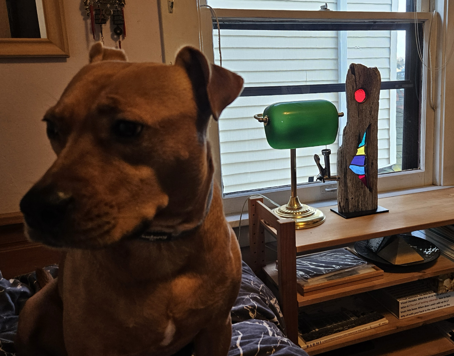 Barley, a dog, is seemingly being scrutinized by a sculpture backlit by sunlight. It consists of stained glass inlaid into a piece of driftwood that give the impression of a glowing red orb floating above an abstracted tropical fish.