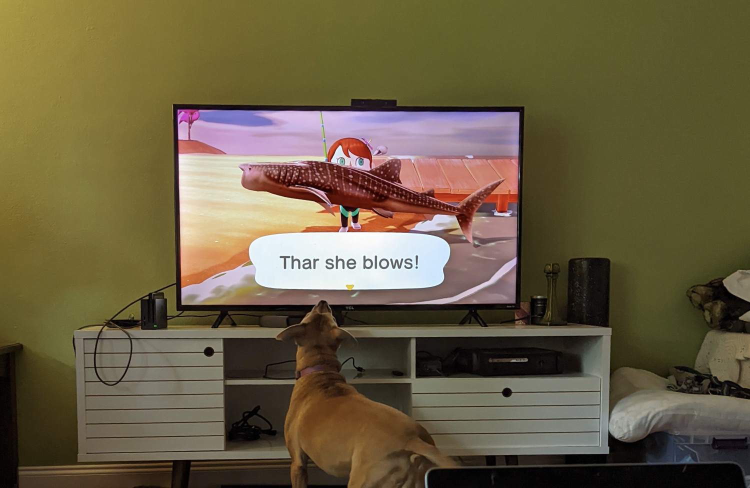 Juniper, a dog, looks excitedly at a television showing an *Animal Crossing* character catching a whale shark.