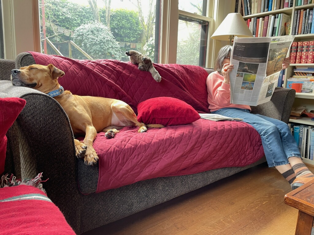 Barley, a dog, snoozes in the living room while her grand dogmother reads a newspaper.