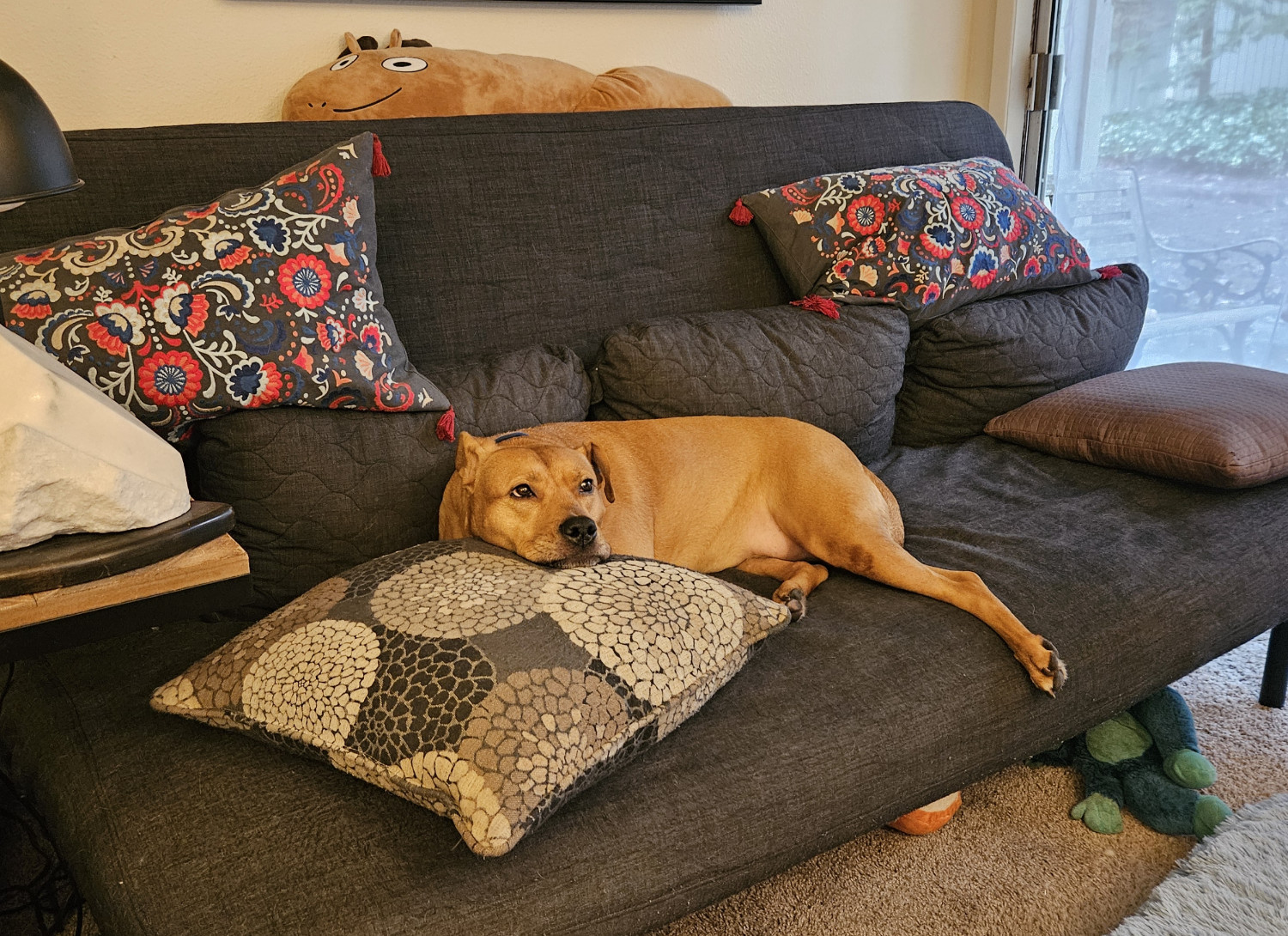 Barley, a dog, gets long on the futon, while overhead Jacob Horse from Drawfee also gets long.