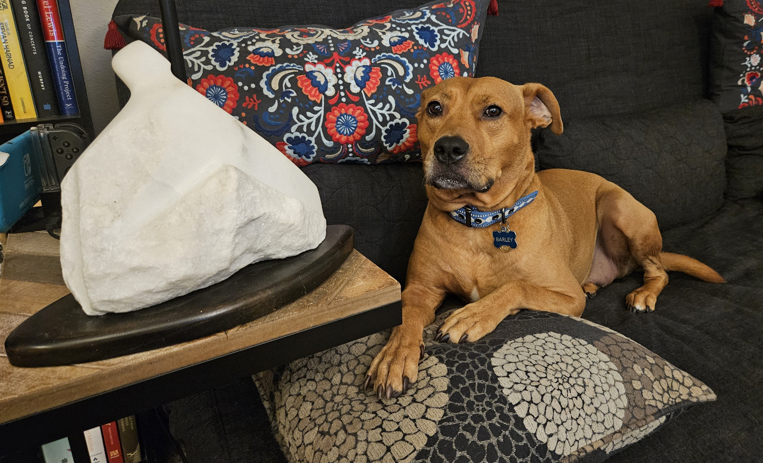 Barley, a dog, sits beside a sculpture of white stone, an abstract form that mixes smooth and rough surfaces, mounted to a lenticular base.